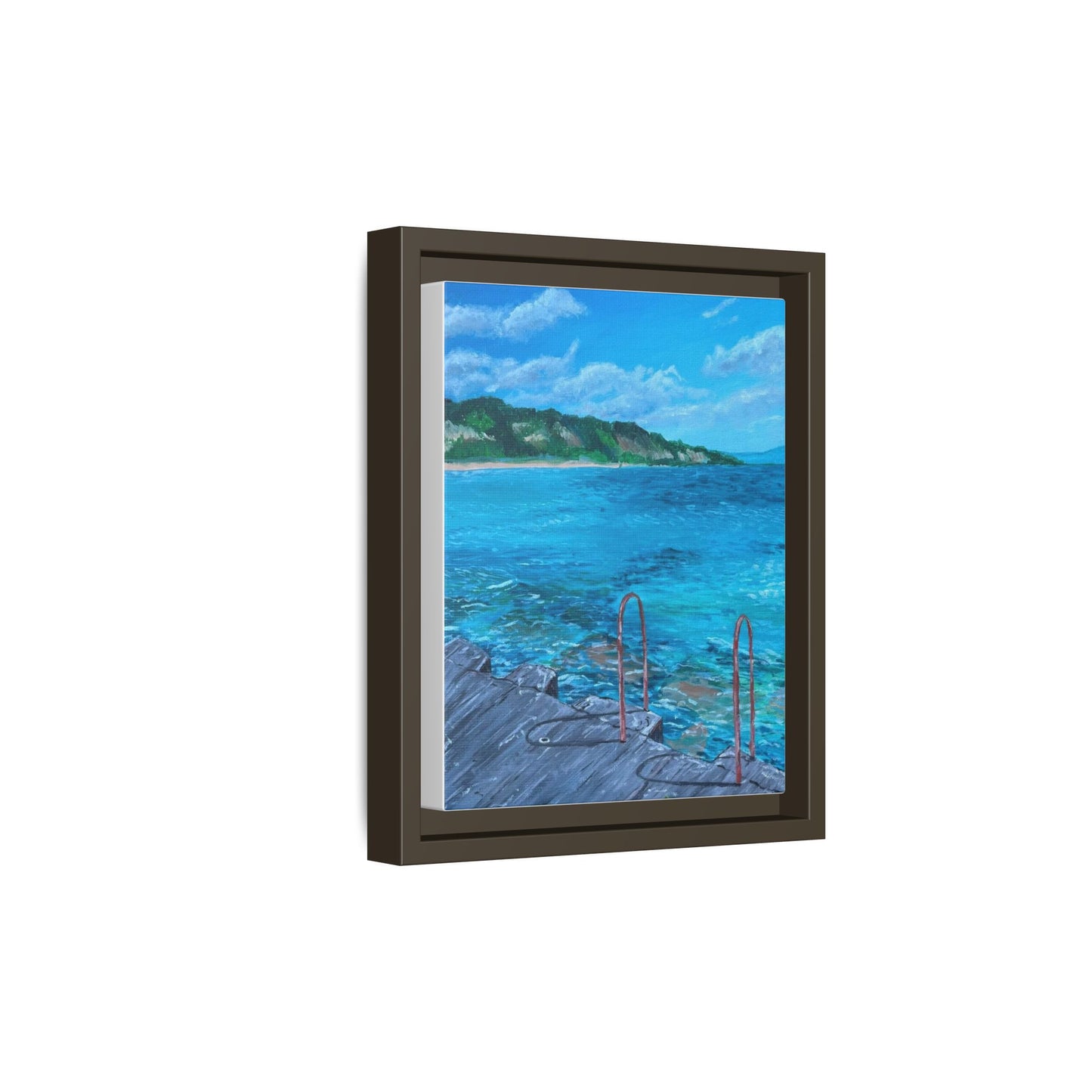 Matte Canvas, Framed (Multi-color)